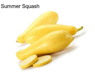 Summer Squash