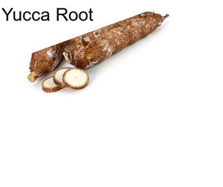 Yucca Root