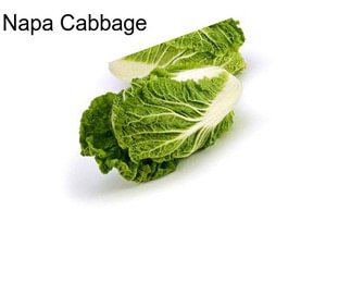 Napa Cabbage