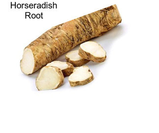 Horseradish Root