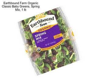 Earthbound Farm Organic Classic Baby Greens, Spring Mix, 1 lb