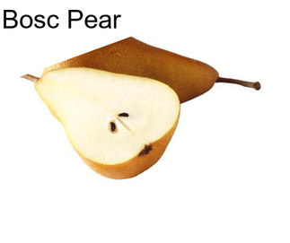 Bosc Pear