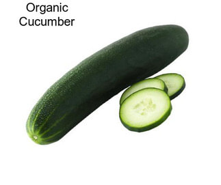 Organic Cucumber