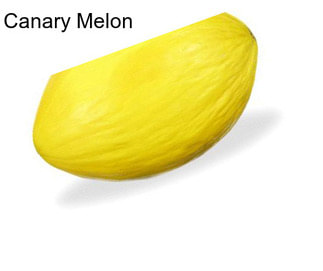 Canary Melon