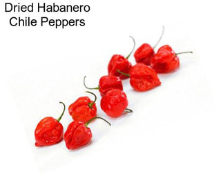 Dried Habanero Chile Peppers