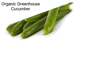 Organic Greenhouse Cucumber