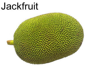 Jackfruit