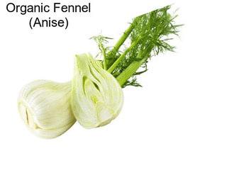 Organic Fennel (Anise)