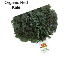 Organic Red Kale