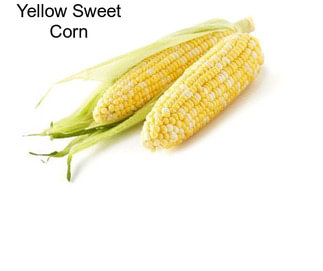 Yellow Sweet Corn