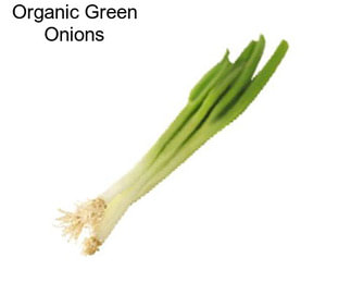 Organic Green Onions