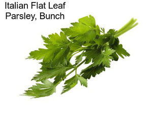 Italian Flat Leaf Parsley, Bunch