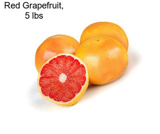 Red Grapefruit, 5 lbs