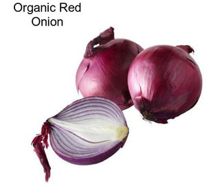 Organic Red Onion