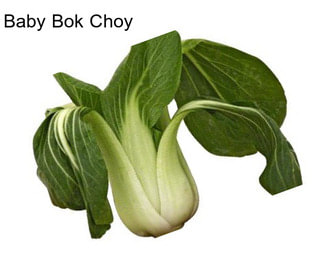 Baby Bok Choy