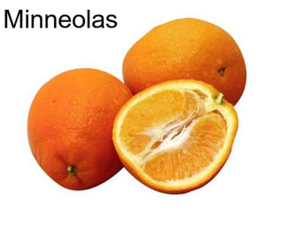 Minneolas