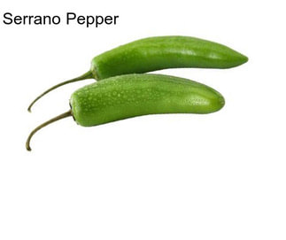 Serrano Pepper