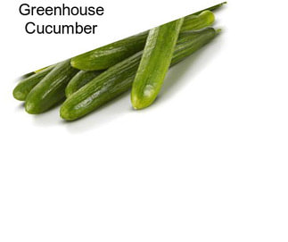 Greenhouse Cucumber