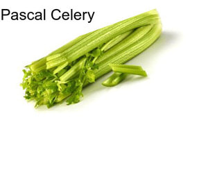 Pascal Celery