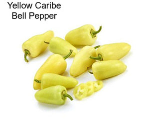 Yellow Caribe Bell Pepper