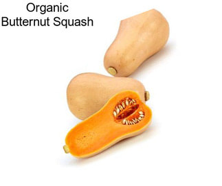 Organic Butternut Squash