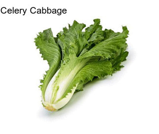 Celery Cabbage