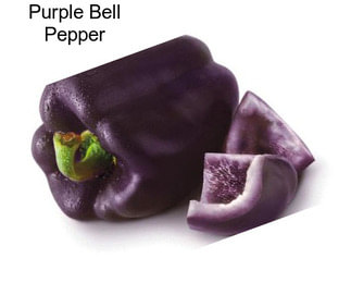 Purple Bell Pepper