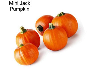 Mini Jack Pumpkin