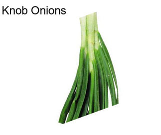 Knob Onions