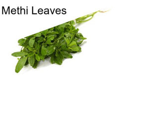 Methi Leaves