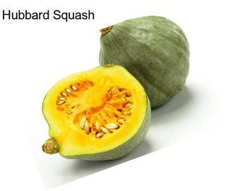 Hubbard Squash