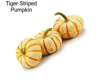 Tiger Striped Pumpkin