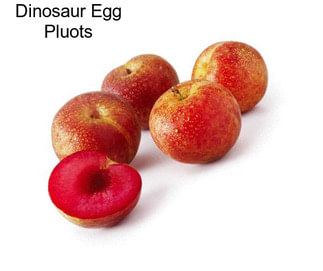 Dinosaur Egg Pluots