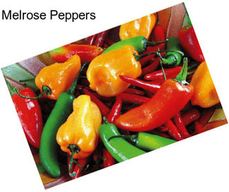 Melrose Peppers