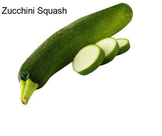 Zucchini Squash