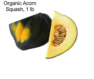 Organic Acorn Squash, 1 lb