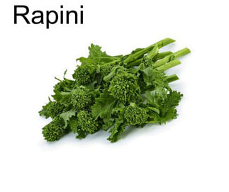 Rapini