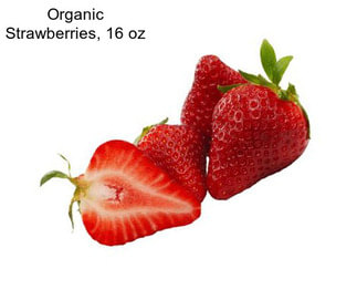 Organic Strawberries, 16 oz