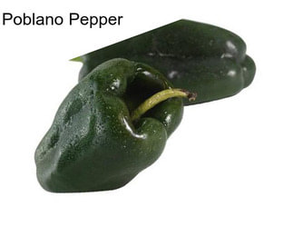 Poblano Pepper