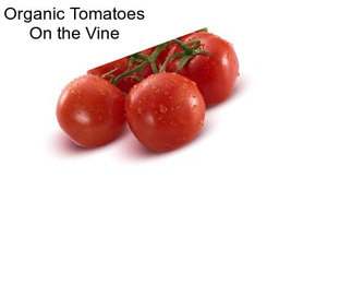 Organic Tomatoes On the Vine