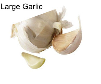 Large Garlic