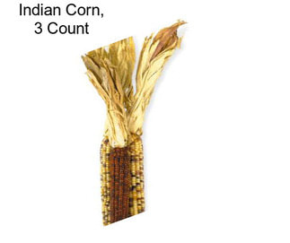 Indian Corn, 3 Count