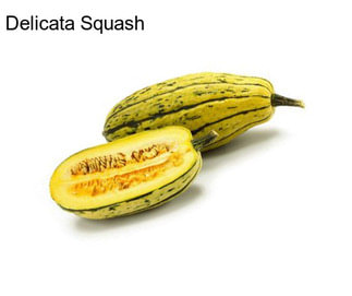 Delicata Squash