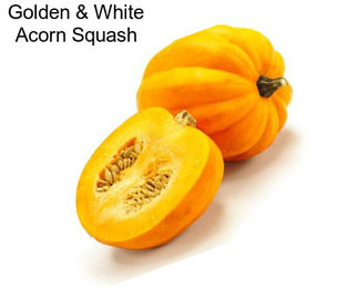 Golden & White Acorn Squash
