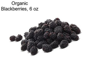 Organic Blackberries, 6 oz