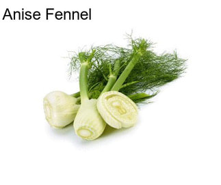 Anise Fennel