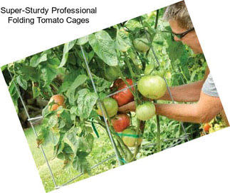 Super-Sturdy Professional Folding Tomato Cages