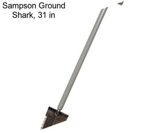 Sampson Ground Shark, 31 in