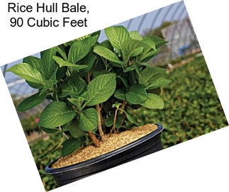 Rice Hull Bale, 90 Cubic Feet