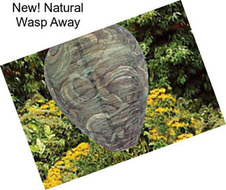 New! Natural Wasp Away